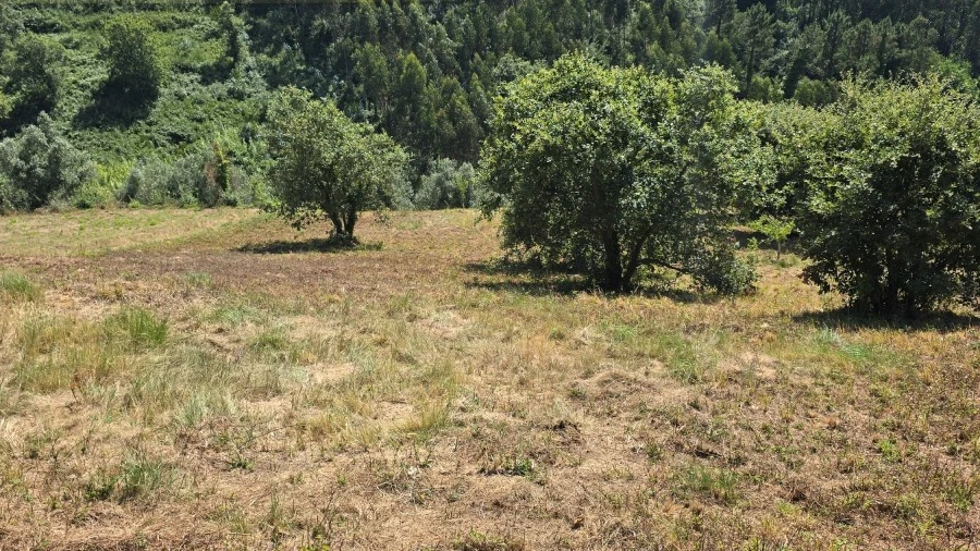 Terreno para Venda em Maxial e Monte Redondo