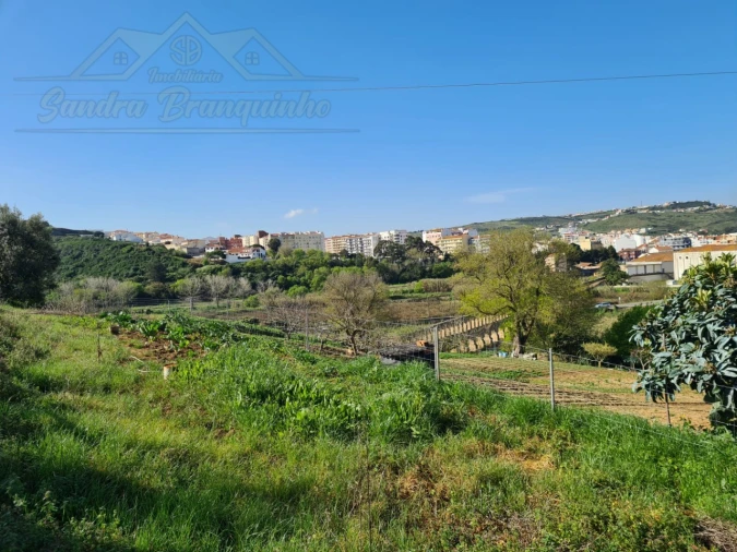 Terreno para Venda em Santa Maria, São Pedro e Matacães Foto 4
