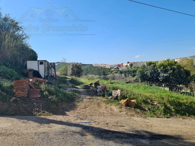 Terreno para Venda em Santa Maria, São Pedro e Matacães Foto 6
