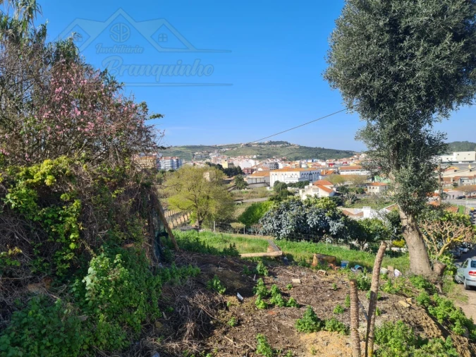 Terreno para Venda em Santa Maria, São Pedro e Matacães Foto 8