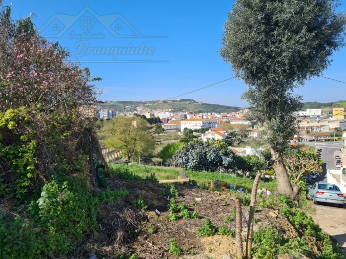 Terreno para Venda em Santa Maria, São Pedro e Matacães Foto 9