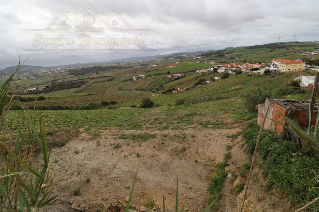 Terreno para Venda em Ventosa Foto 3