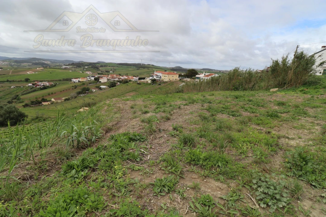 Terreno para Venda em Ventosa Foto 12