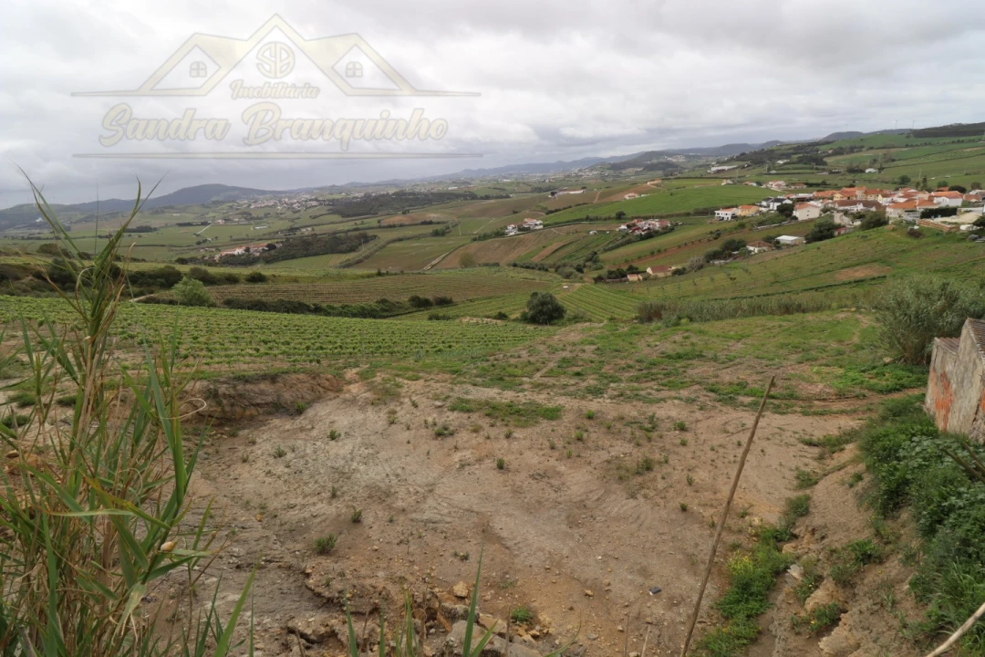 Terreno para Venda em Ventosa Foto 3