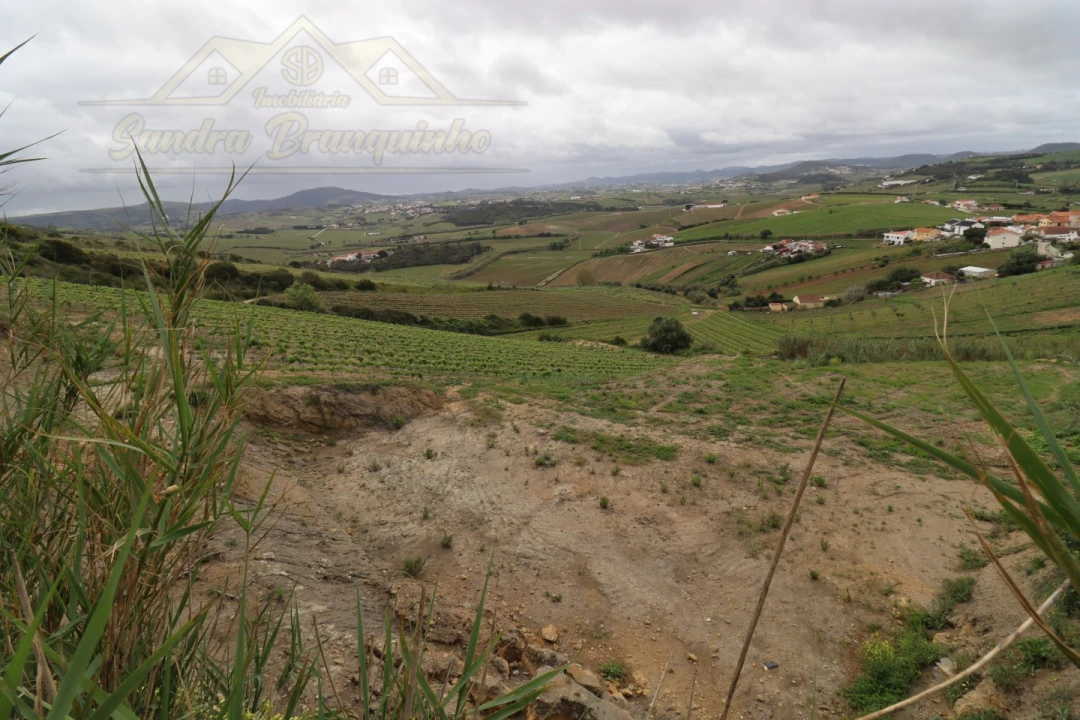 Terreno para Venda em Ventosa Foto 4