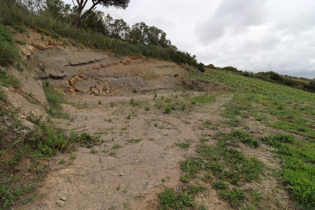 Terreno para Venda em Ventosa Foto 5