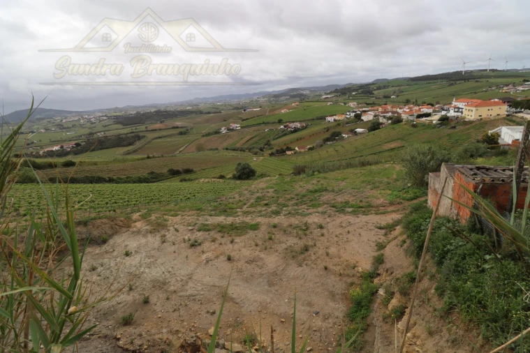 Terreno para Venda em Ventosa Foto 2