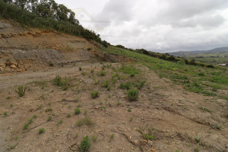 Terreno para Venda em Ventosa Foto 6