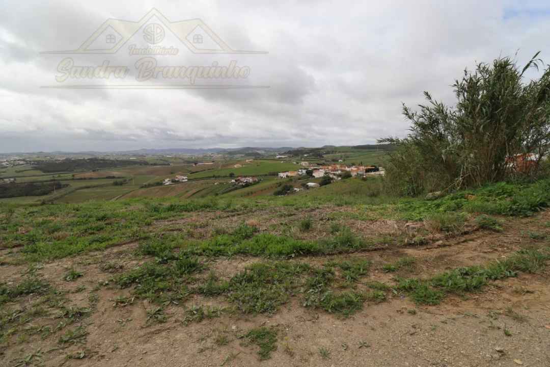 Terreno para Venda em Ventosa Foto 6
