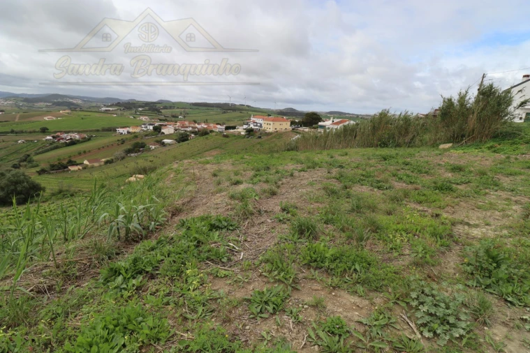 Terreno para Venda em Ventosa Foto 1