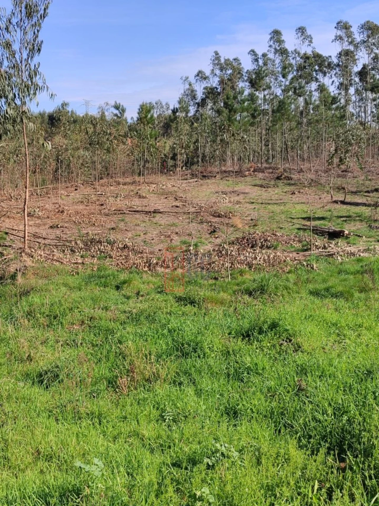 Terreno para Venda em Pedroso e Seixezelo Foto 4