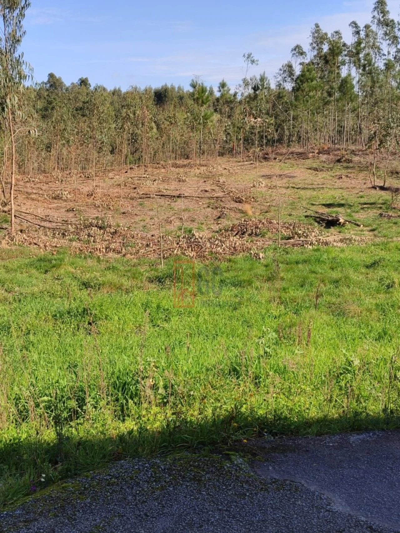 Terreno para Venda em Pedroso e Seixezelo Foto 5