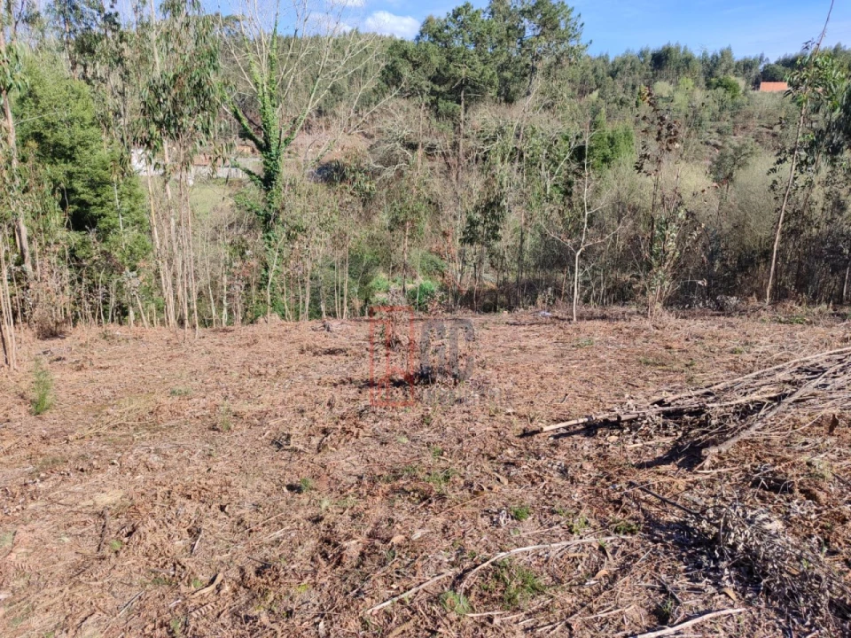 Terreno para Venda em Pedroso e Seixezelo Foto 8
