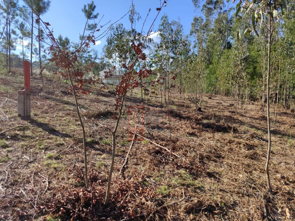 Terreno para Venda em Pedroso e Seixezelo Foto 9