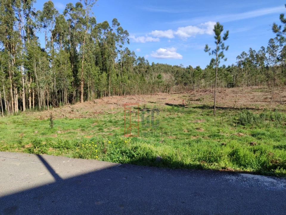 Terreno para Venda em Pedroso e Seixezelo Foto 10