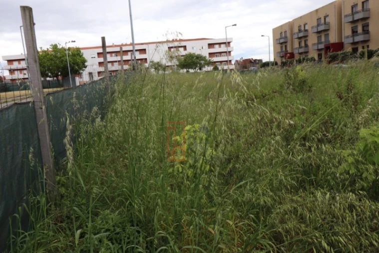 Terreno para Venda em Campanhã Foto 3