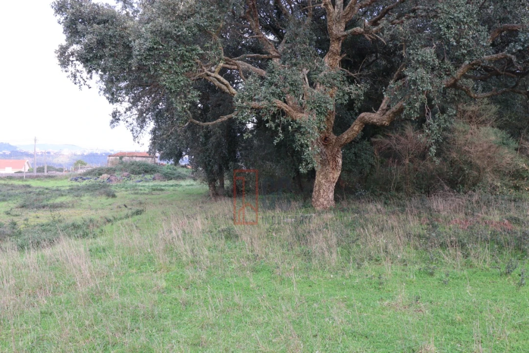 Terreno para Venda em Avintes Foto 9