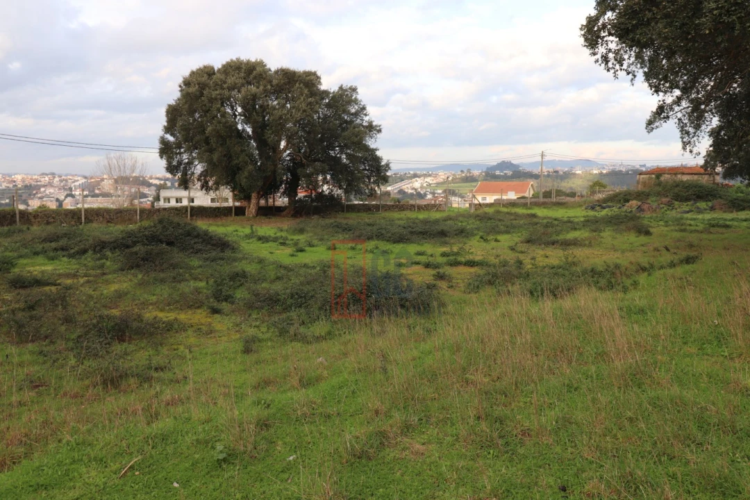 Terreno para Venda em Avintes Foto 10
