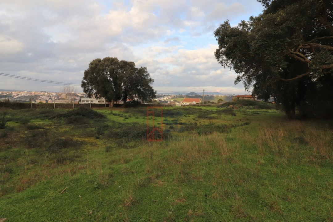 Terreno para Venda em Avintes Foto 11