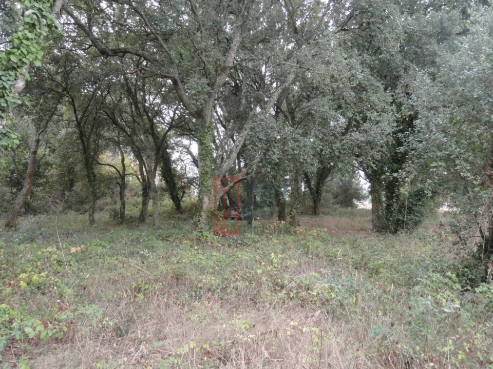 Terreno para Venda em Avintes Foto 16