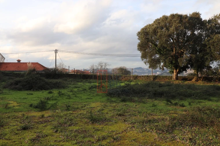 Terreno para Venda em Avintes Foto 13