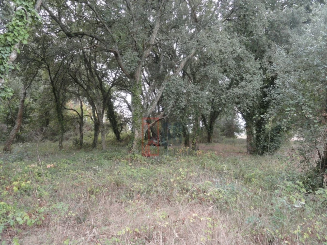 Terreno para Venda em Avintes Foto 16