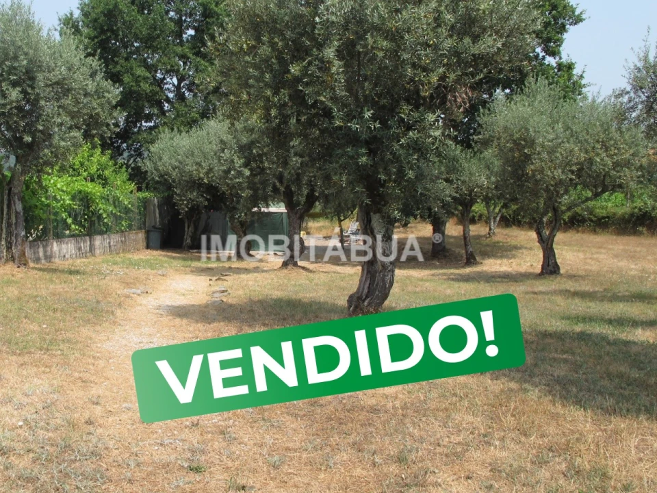 Terreno para Venda em Tabua Foto 1