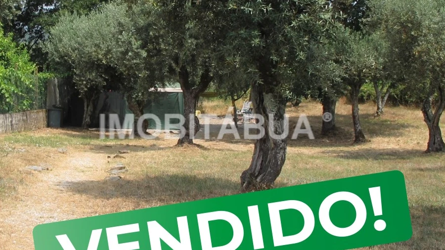 Terreno para Venda em Tabua