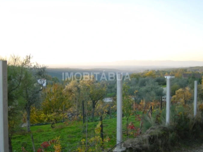 Terreno para Venda em Covas e Vila Nova de Oliveirinha Foto 2