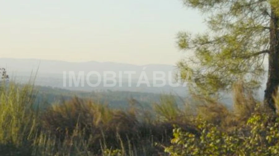 Terreno para Venda em Covas e Vila Nova de Oliveirinha