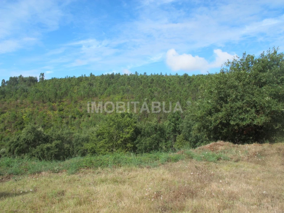 Terreno para Venda em Mouronho Foto 4