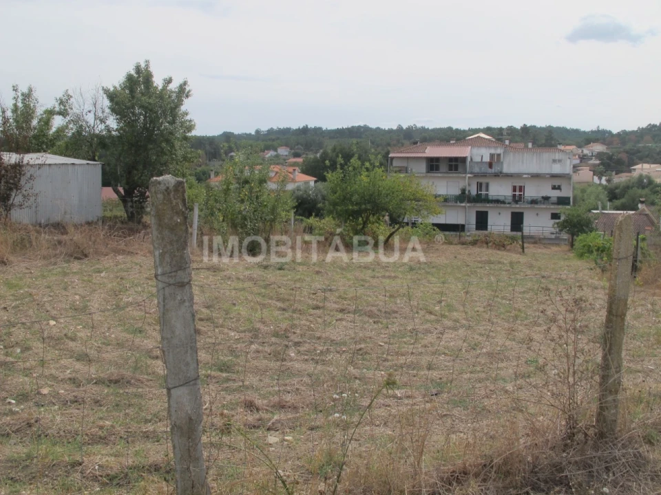 Terreno para Venda em Tabua Foto 2