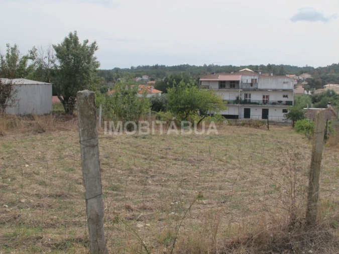 Terreno para Venda em Tabua Foto 2