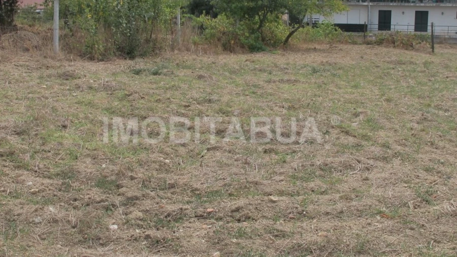 Terreno para Venda em Tabua