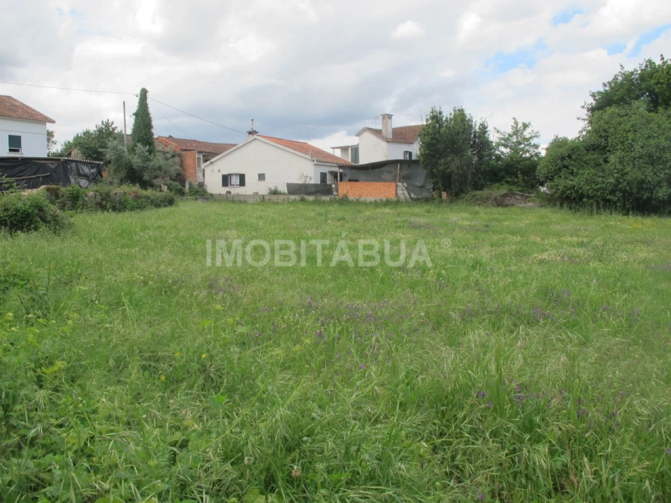 Terreno para Venda em Ázere e Covelo Foto 1