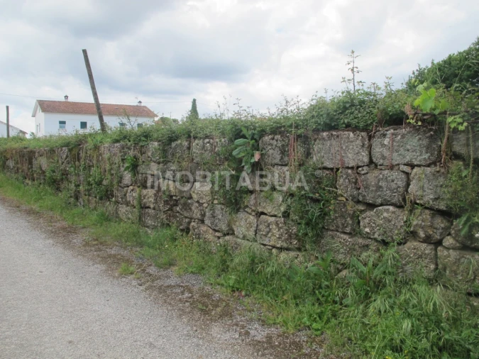 Terreno para Venda em Ázere e Covelo Foto 4