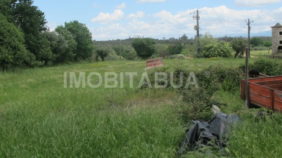 Terreno para Venda em Ázere e Covelo