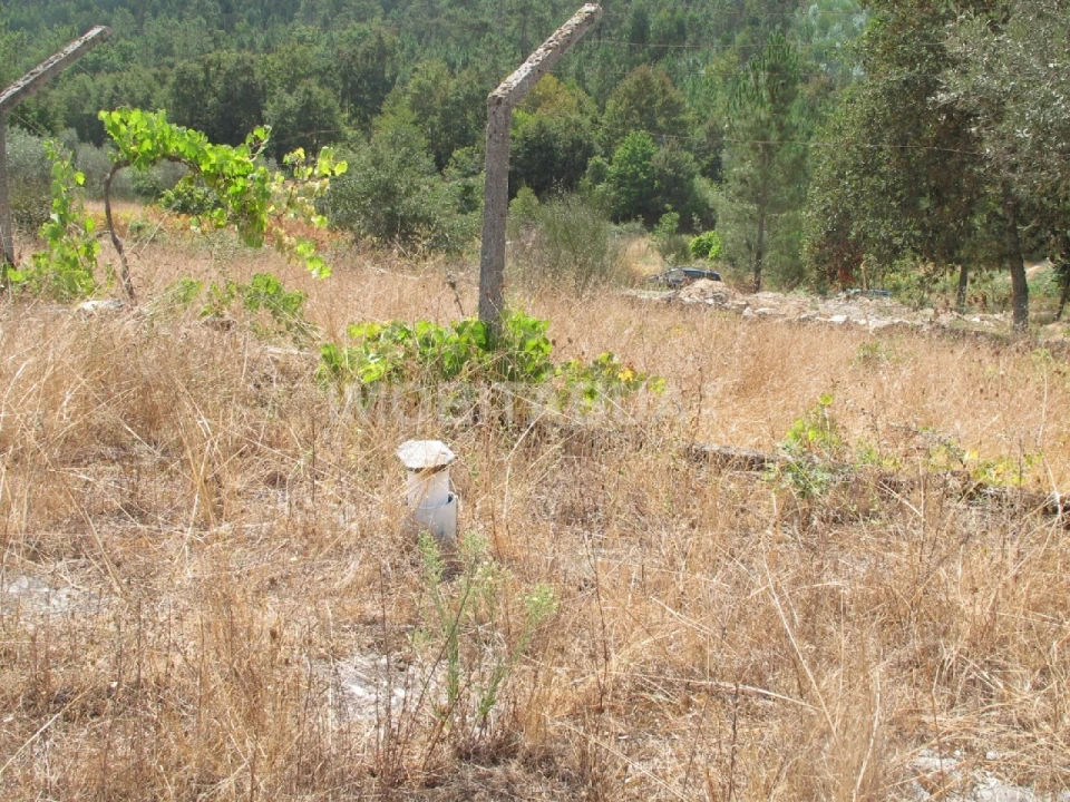 Terreno para Venda em Mouronho Foto 3