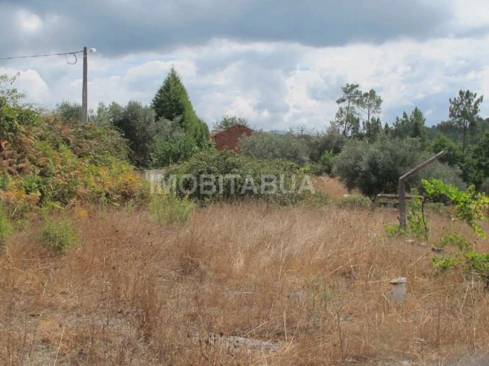 Terreno para Venda em Mouronho Foto 4