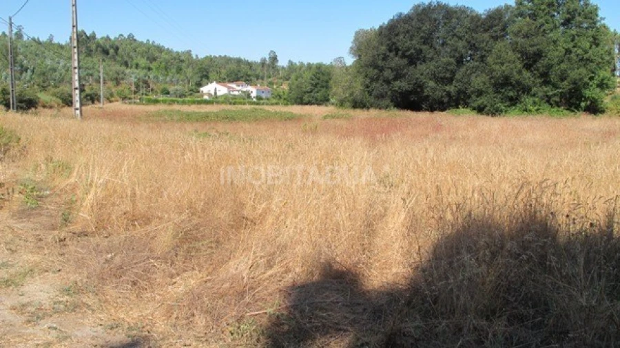 Terreno para Venda em São João da Boa Vista Foto 2