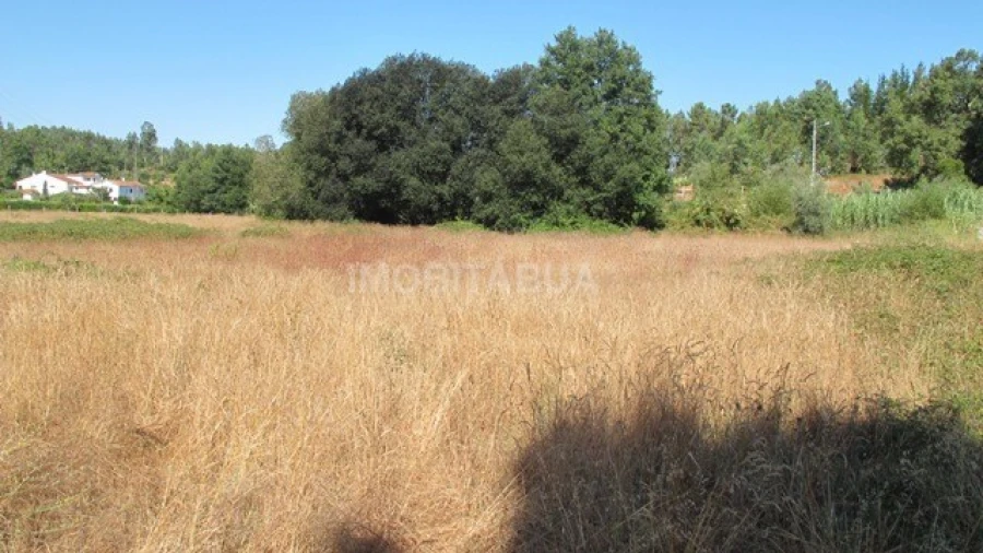 Terreno para Venda em São João da Boa Vista Foto 3