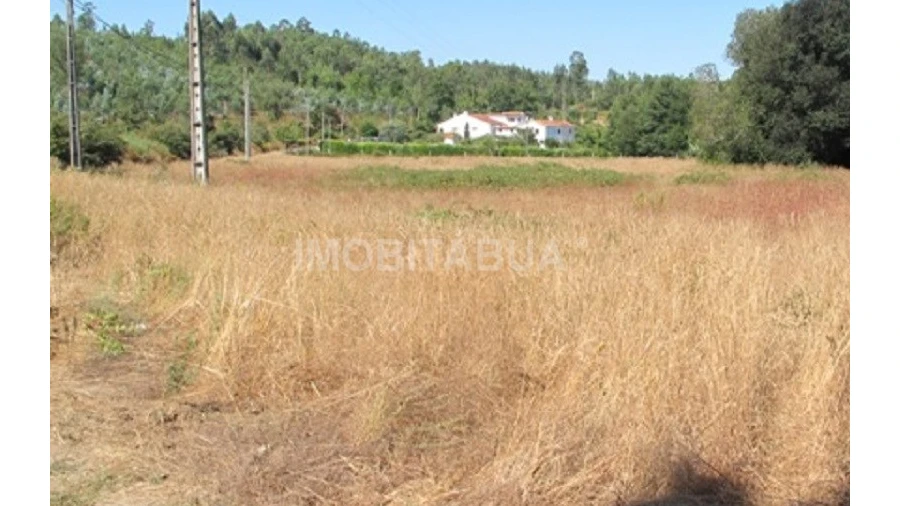 Terreno para Venda em São João da Boa Vista