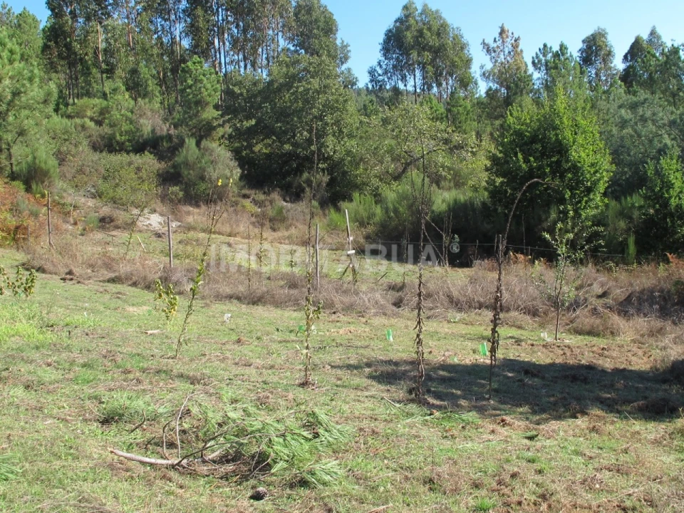 Terreno para Venda em Vila Cova de Alva e Anseriz Foto 1