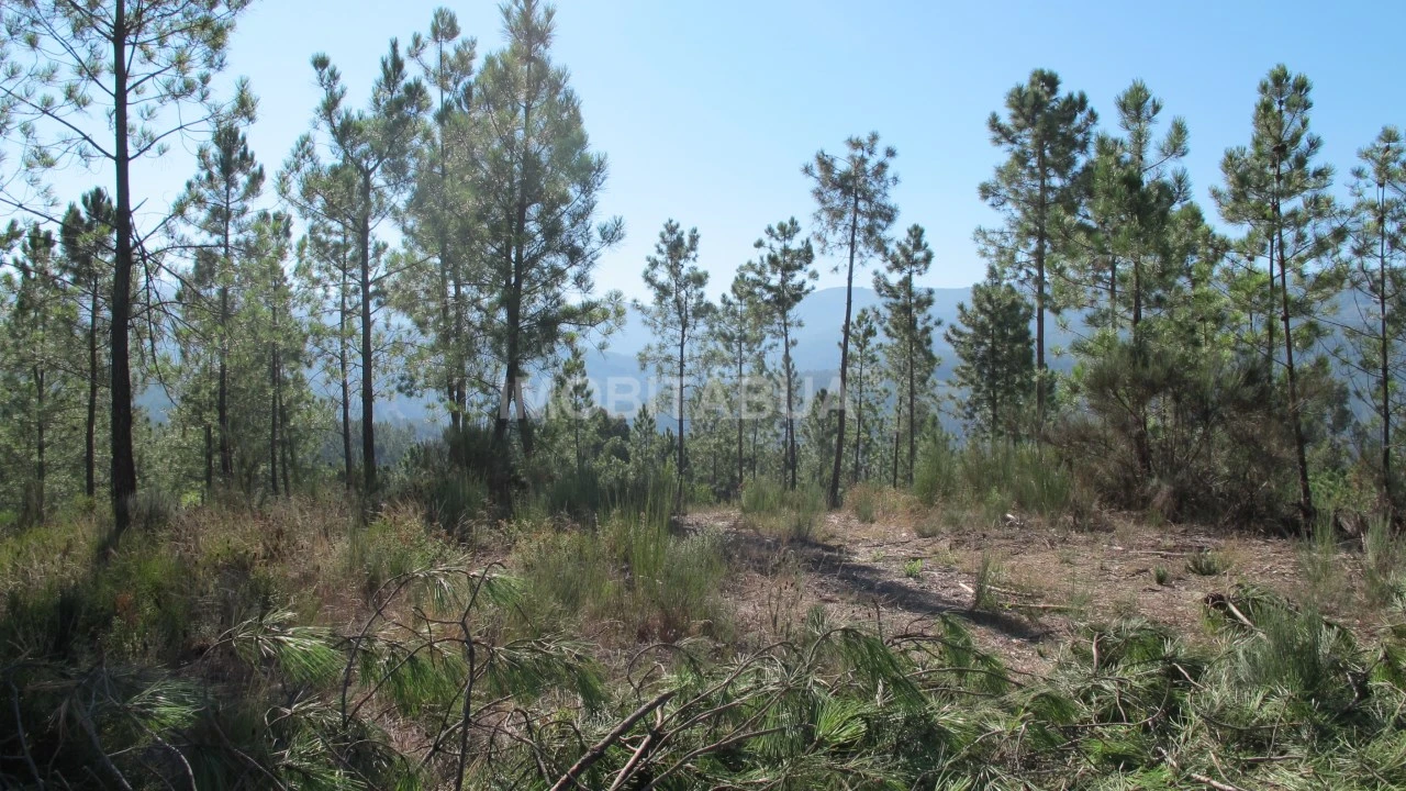 Terreno para Venda em Vila Cova de Alva e Anseriz Foto 6