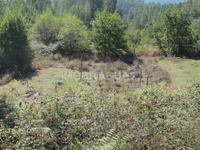 Terreno para Venda em Vila Cova de Alva e Anseriz Foto 2