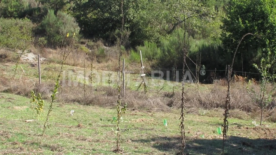 Terreno para Venda em Vila Cova de Alva e Anseriz