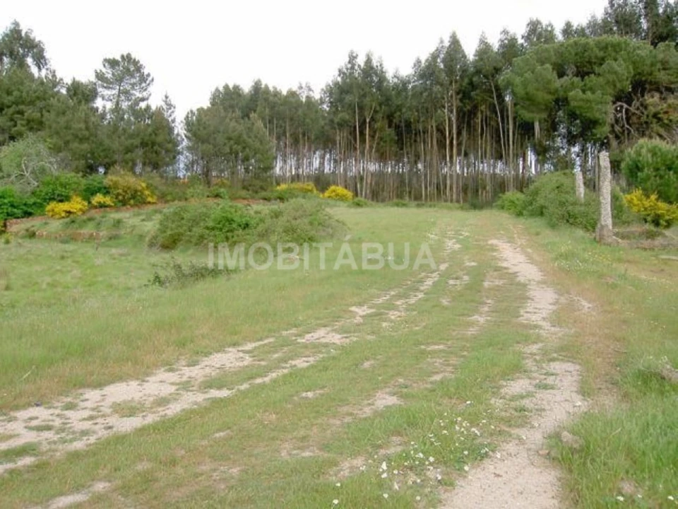 Terreno para Venda em São João da Boa Vista Foto 2
