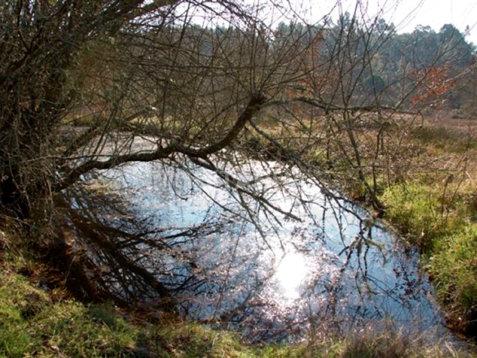 Terreno para Venda em São João da Boa Vista Foto 5