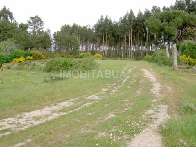 Terreno para Venda em São João da Boa Vista Foto 2