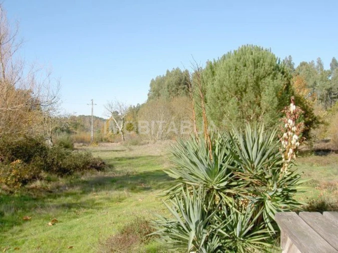 Terreno para Venda em São João da Boa Vista Foto 3